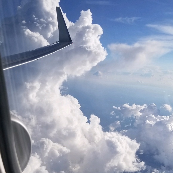 Meet your Posher, Liz - Picture 1 of 1